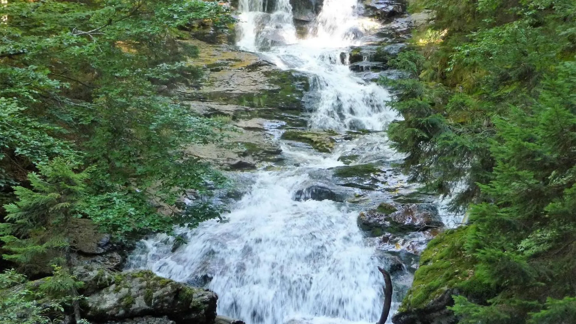 Ferienwohnung Breit - Kirchdorf Kirchdorf im Wald 0*,  Deutschland